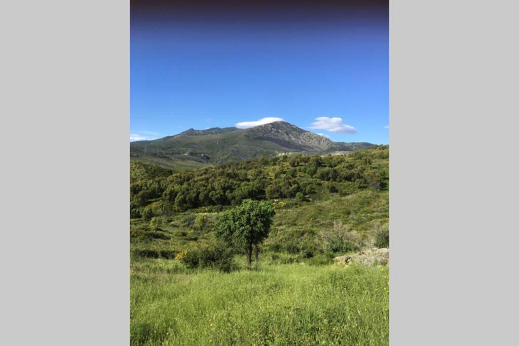 Tres Jolie Mini Villa Douillette Avec Vue Sur Montagne Biguglia  Dış mekan fotoğraf